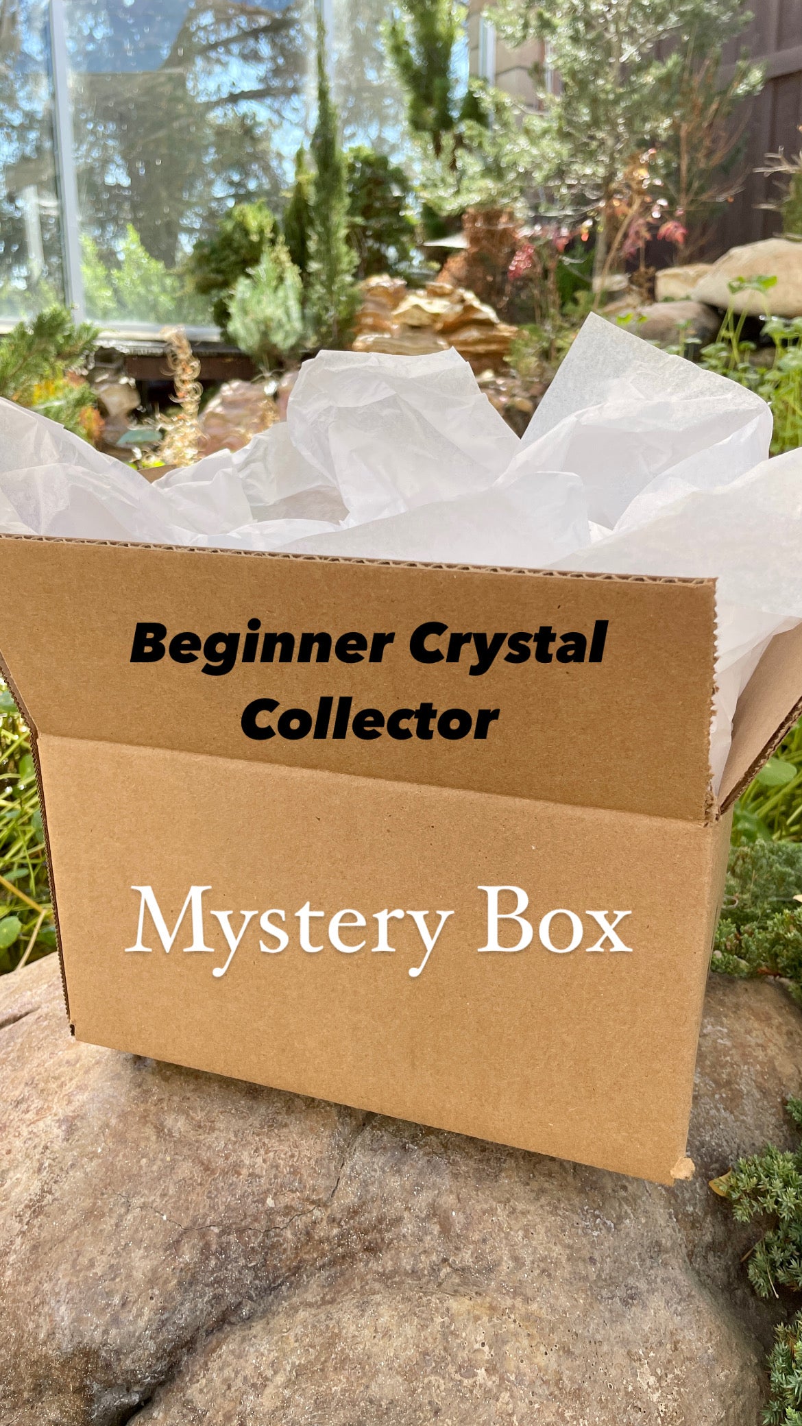 Beginner Crystal Collector Mystery Box $150
