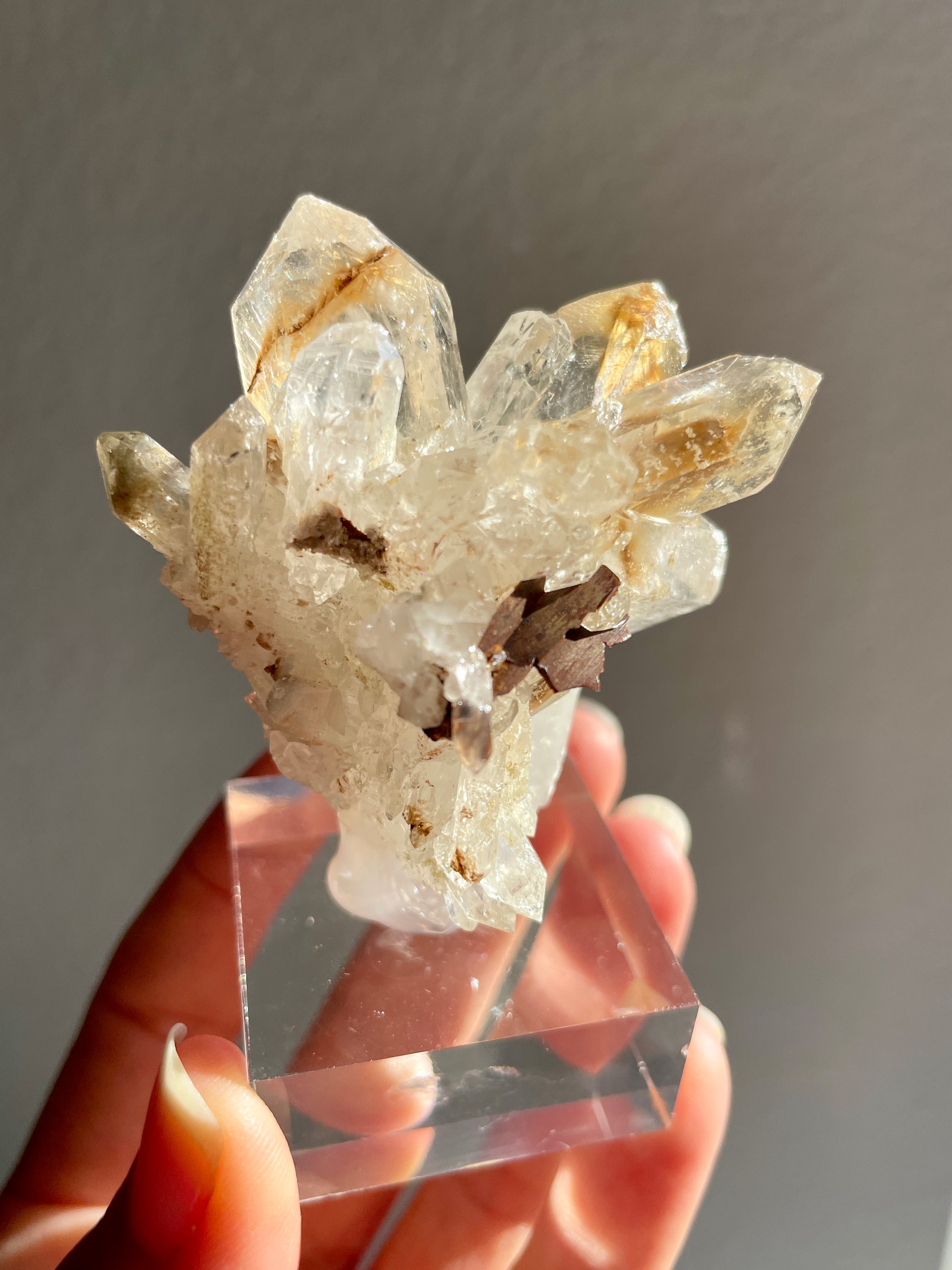 Red Brookite and Rutile in Quartz, Pakistan