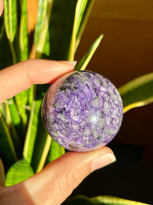 Charoite Sphere