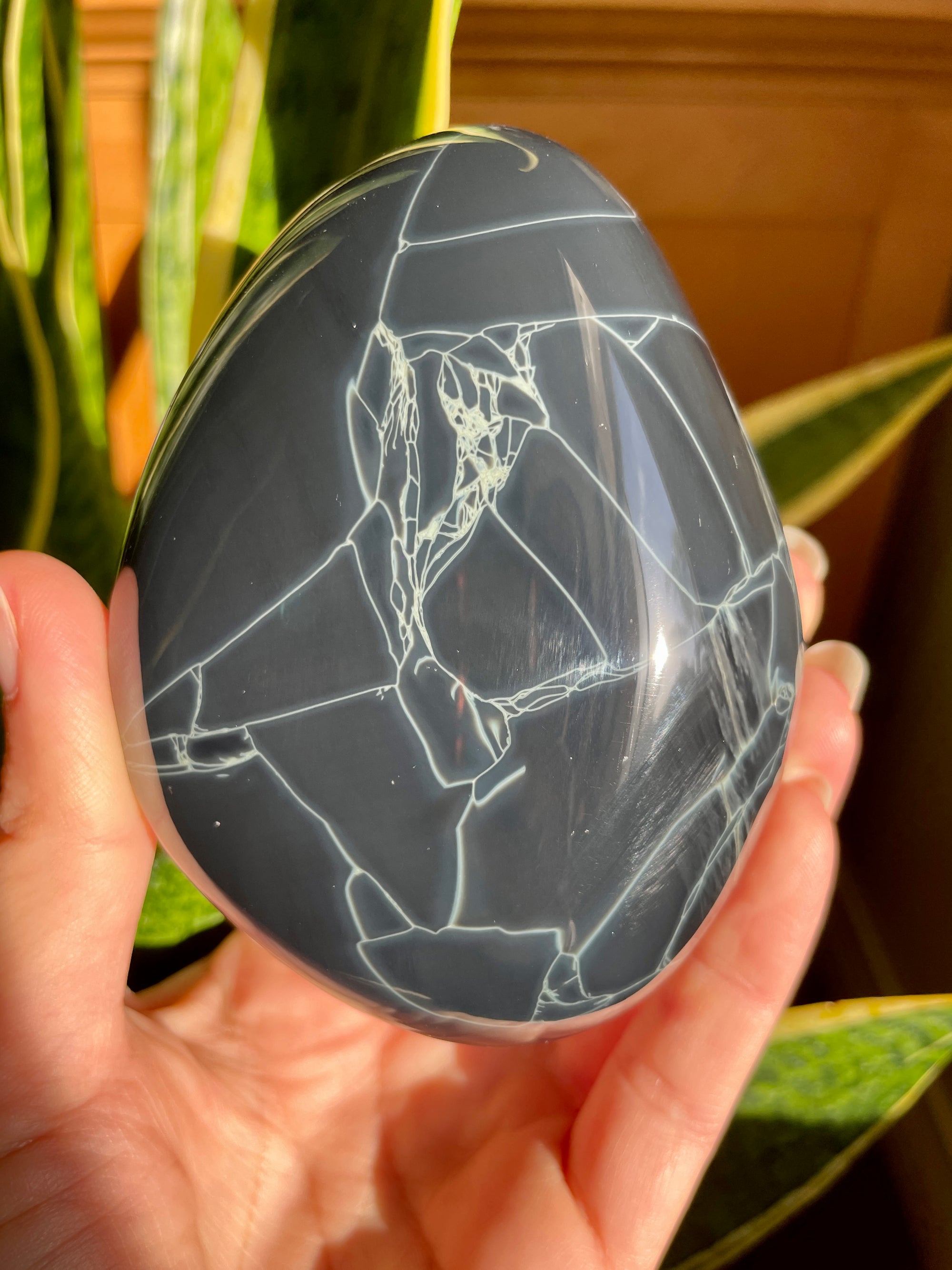 XL Spiderweb Obsidian Freeform