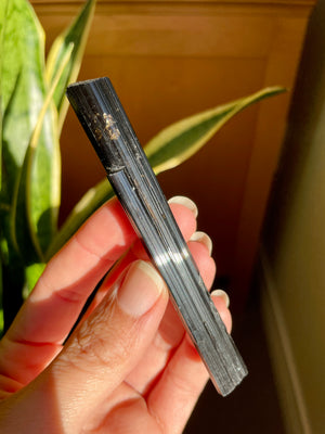 Black Tourmaline Wand