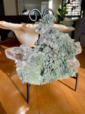 Chlorite and Rutile Samadhi Himalayan Quartz Cluster on Stand