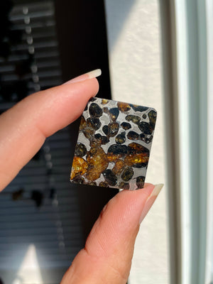 Sericho Pallasite Meteorite with Olivine Crystals