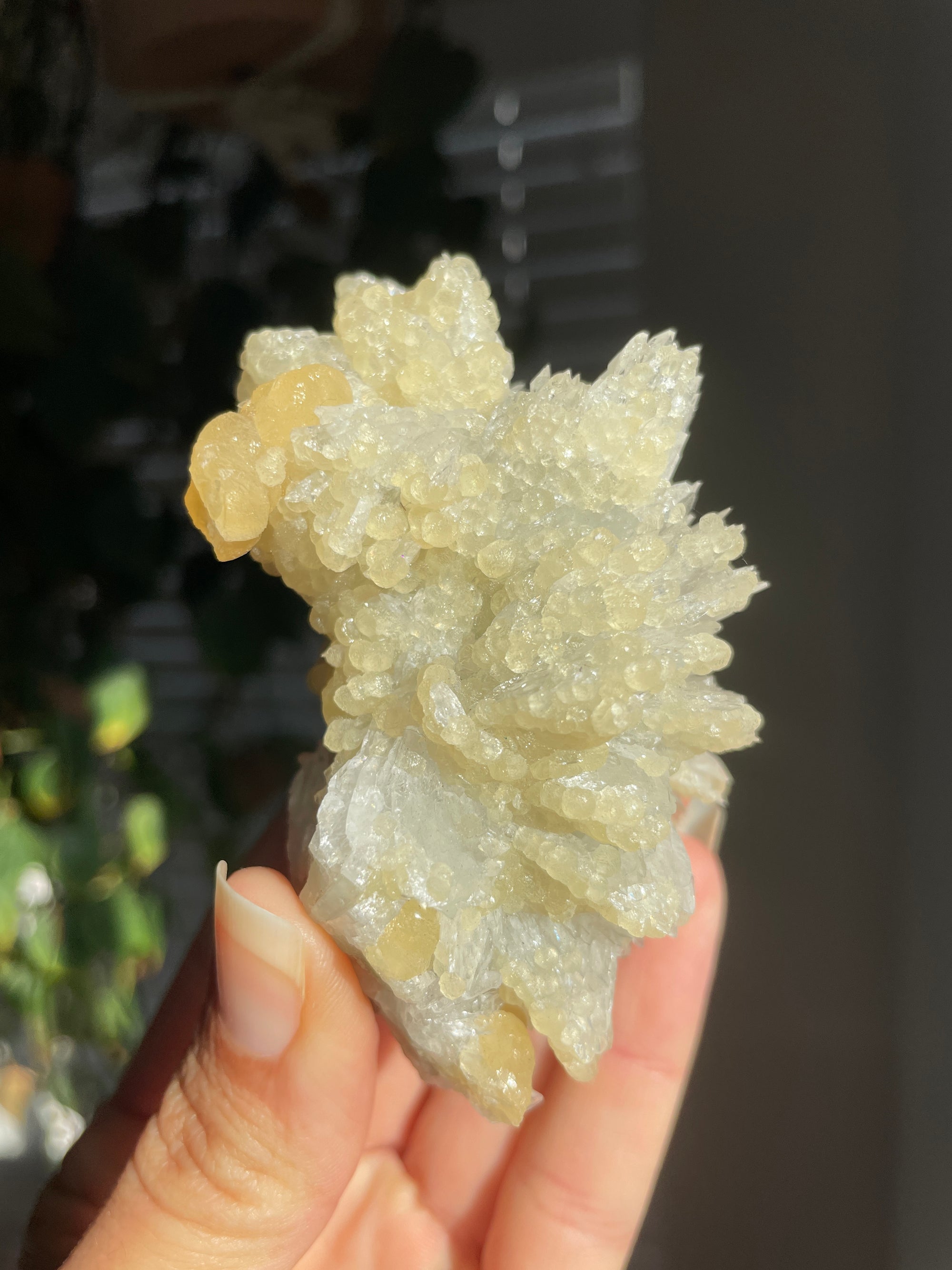 Colemanite on Calcite, California