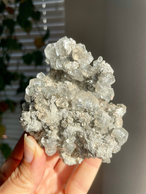 Calcite from the Linwood Mine, Iowa