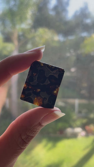 Sericho Pallasite Meteorite with Olivine Crystals