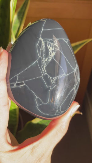 XL Spiderweb Obsidian Freeform