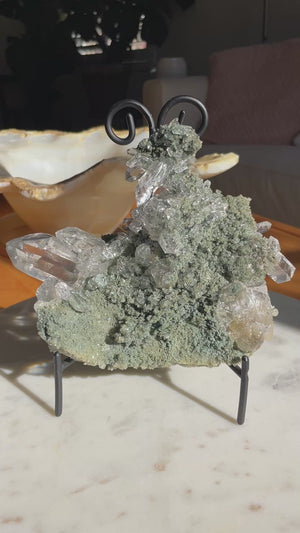 Chlorite and Rutile Samadhi Himalayan Quartz Cluster on Stand