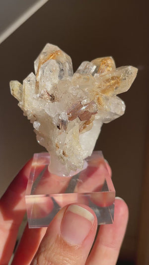 Red Brookite and Rutile in Quartz, Pakistan